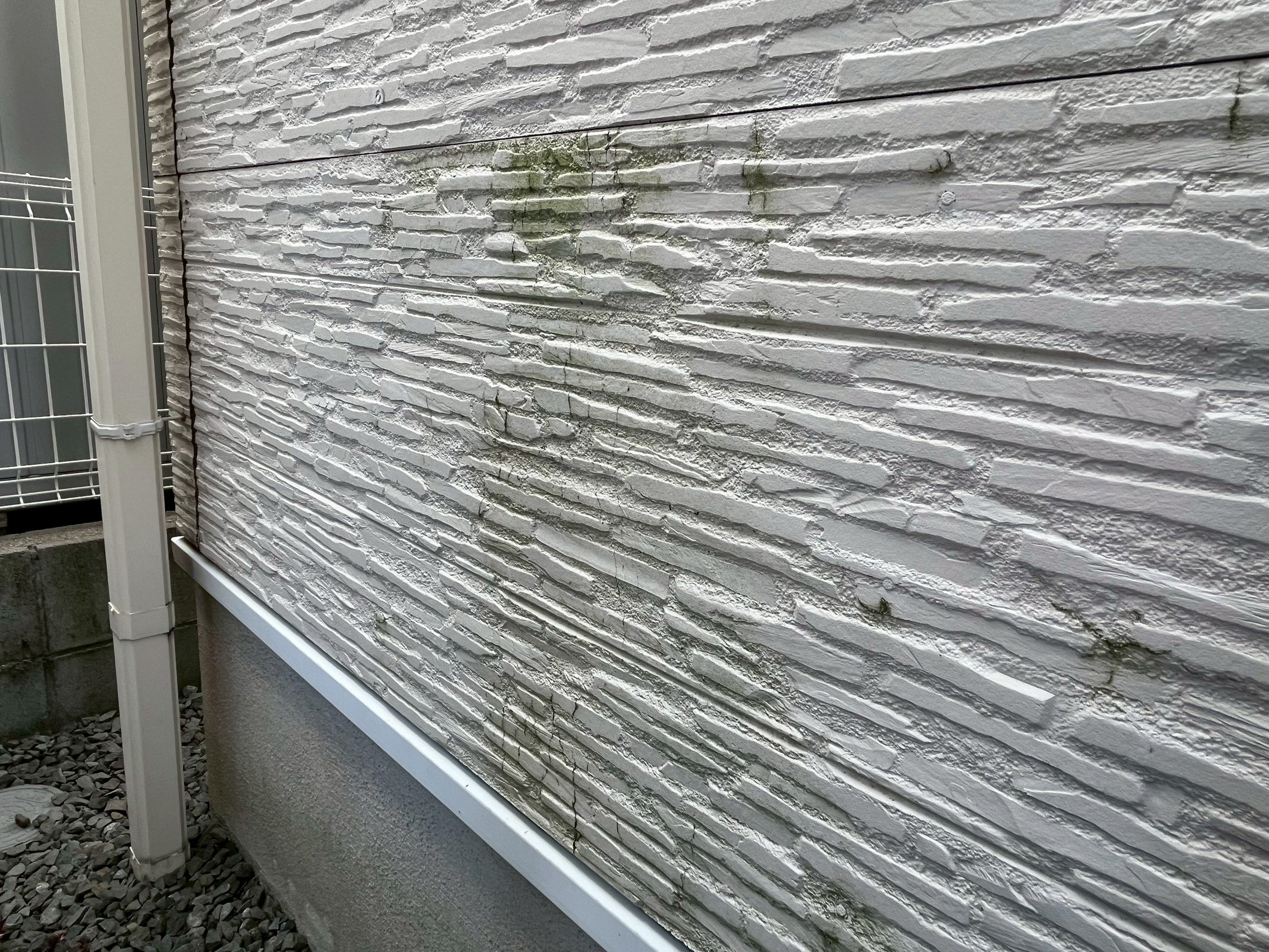 【泉佐野市若宮町】外壁に苔の繁殖してしまったお家の現地調査へ行きました