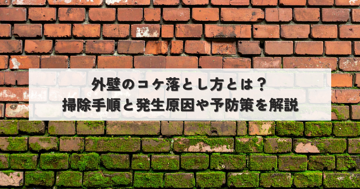 外壁のコケ落とし方とは？掃除手順と発生原因や予防策を解説